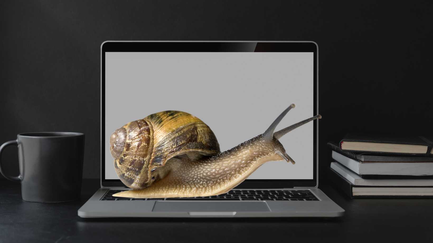 How To Fix Slow Old Laptop: Ultimate Laptop Repair Singapore