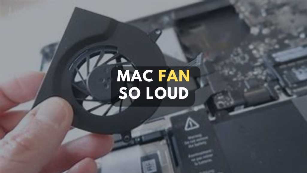 m2. ssd not detected 21